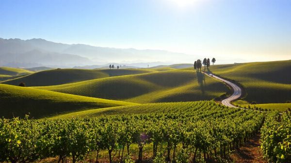 Meilleurs thérapeutes en Auvergne Rhône Alpes pour votre bien-être